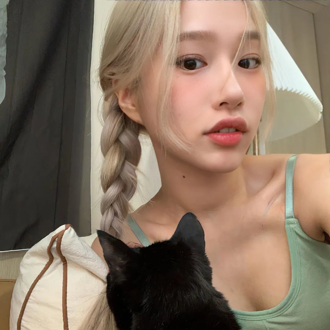 结婚白皮书