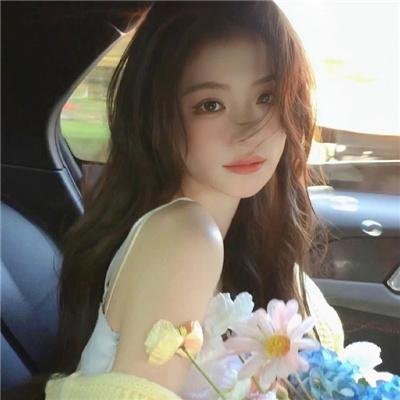 两个阿拉伯骑士